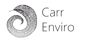 Car-Enviro